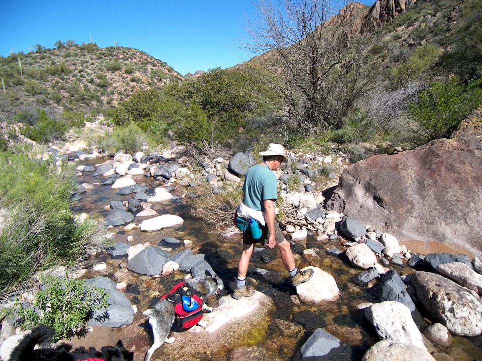 Superstitions: Boulder Canyon