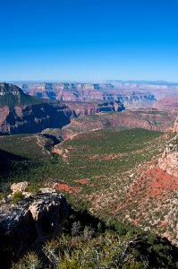 Grand Canyon North Rim photo