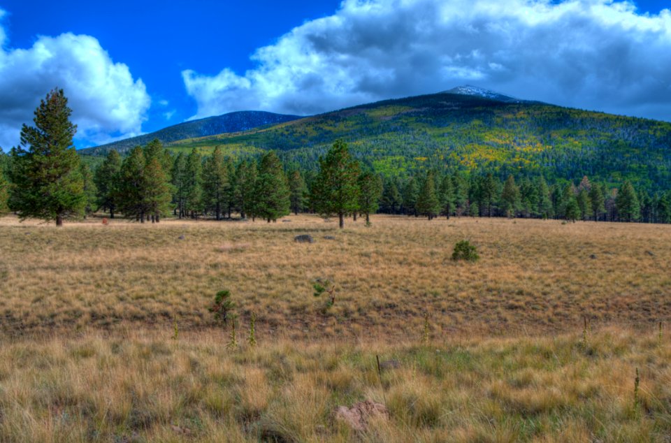 San Francisco Peaks: Autumn