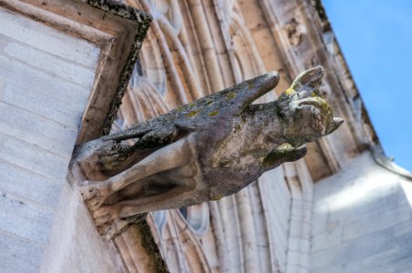 12082018-IMGP3970