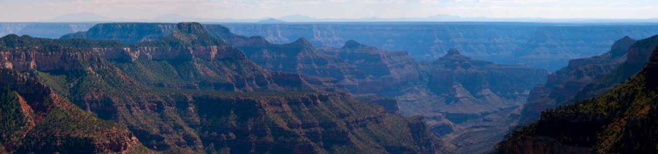 Grand Canyon North Rim photo