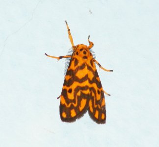 DSCF1279