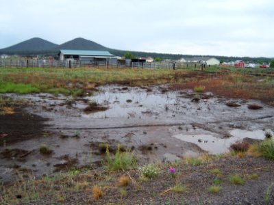 Schultz Fire Flood