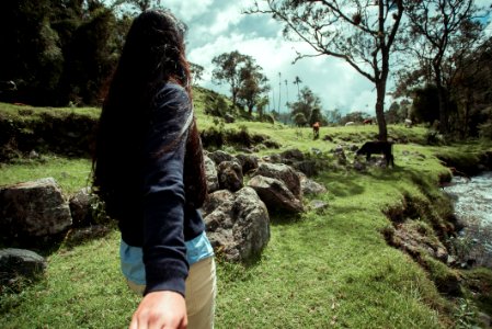 Salento Quindio - Valle del Cocora