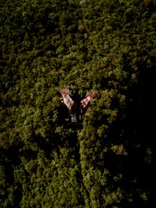 DJI 0555