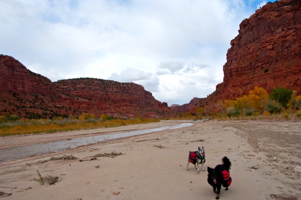 Paria River