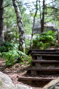 Fontainebleau - 2018/06/16