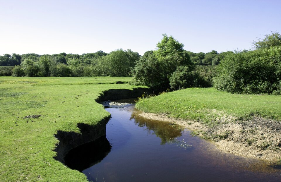 Nature landscape water