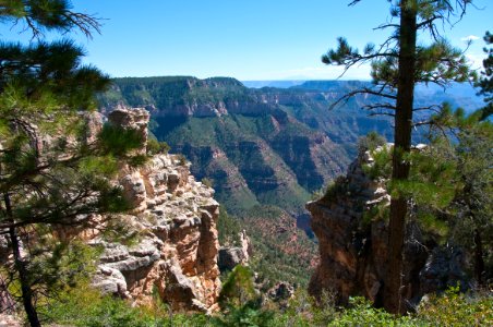 Grand Canyon North Rim photo