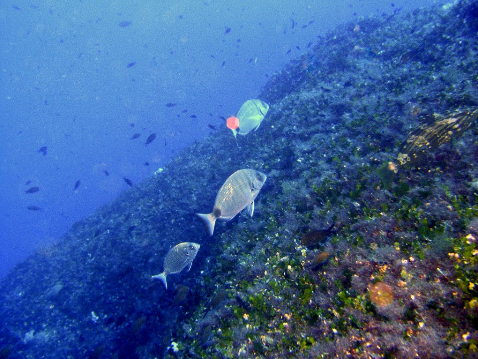 DSCF1367