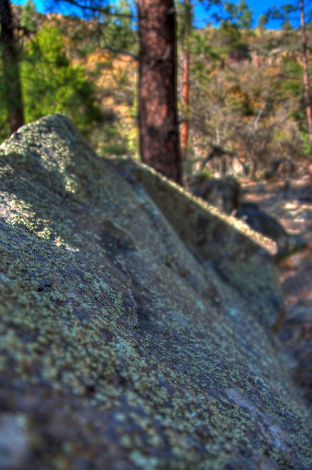 Kelsey Trail