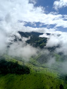 Salento Quindio - Valle del Cocora