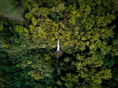 Salento Quindio - Valle del Cocora