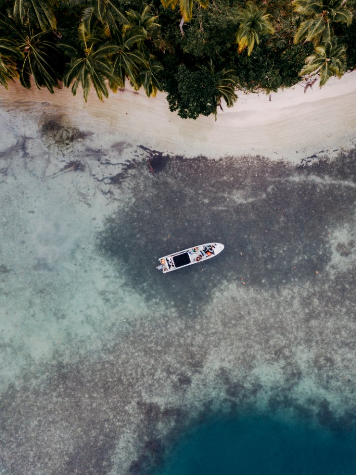 Isla Mamey - Panama