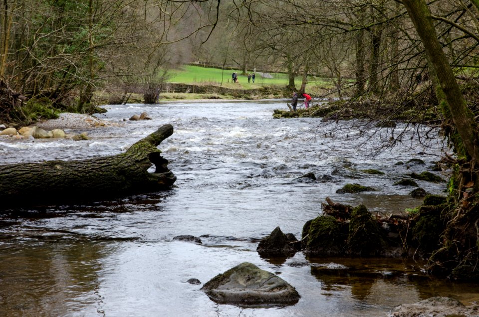 bolton abbey (pointing the way)