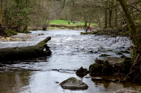 bolton abbey (pointing the way)