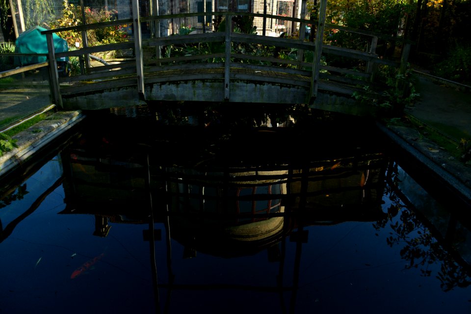 Thrigby Hall Wildlife Park