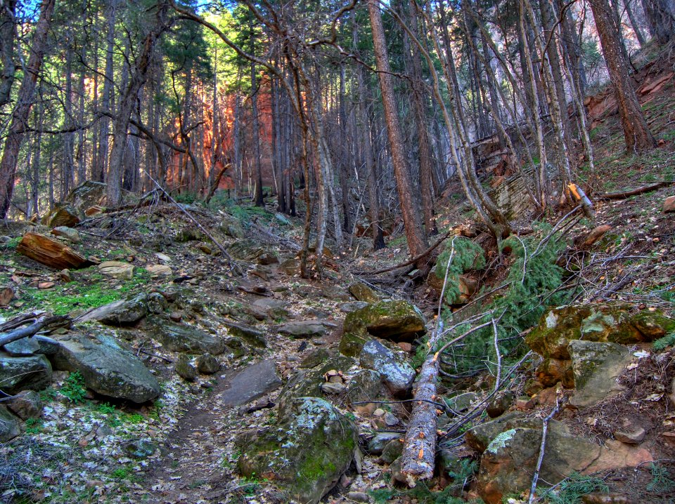 Sterling Pass Trail (HDR)
