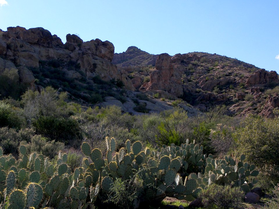 Superstition Wilderness: Dutchmans Trail