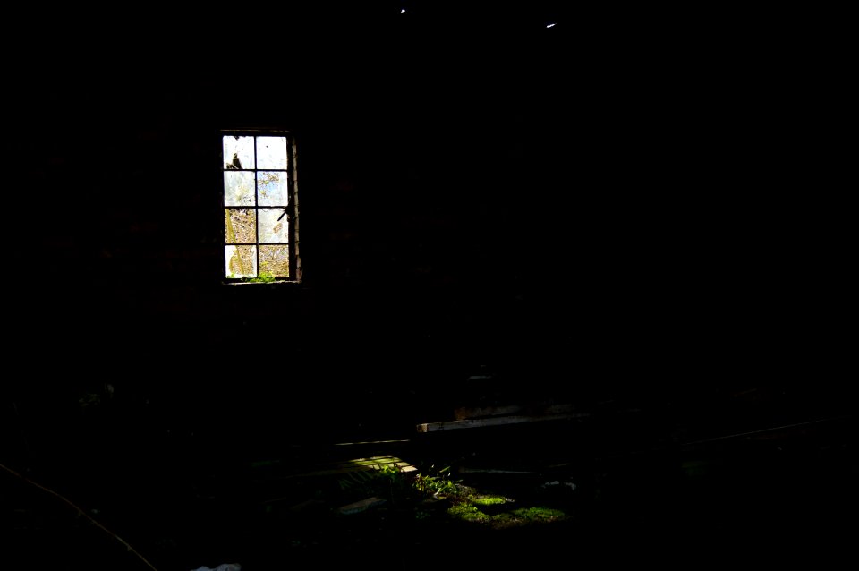 Tiny Light