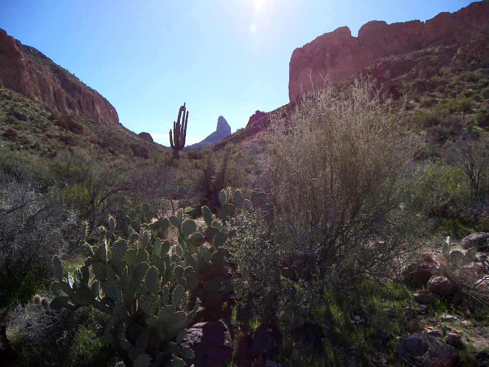 Superstition Wilderness
