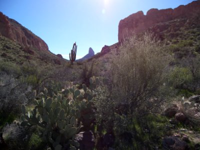 Superstition Wilderness