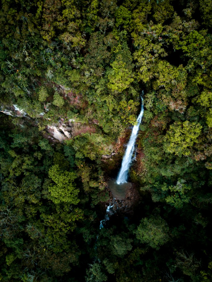 Salento Quindio - Valle del Cocora