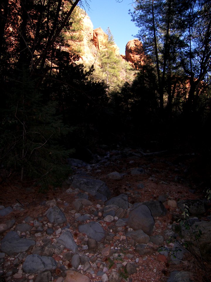 David Miller Trail