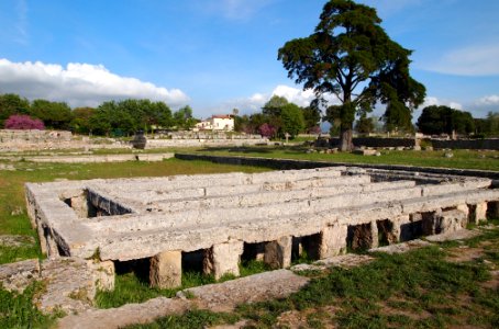 P5014237