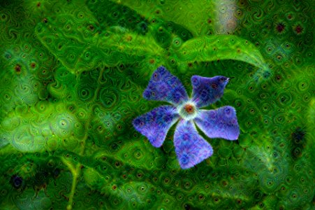 Google Deep Dream: Blue Flower