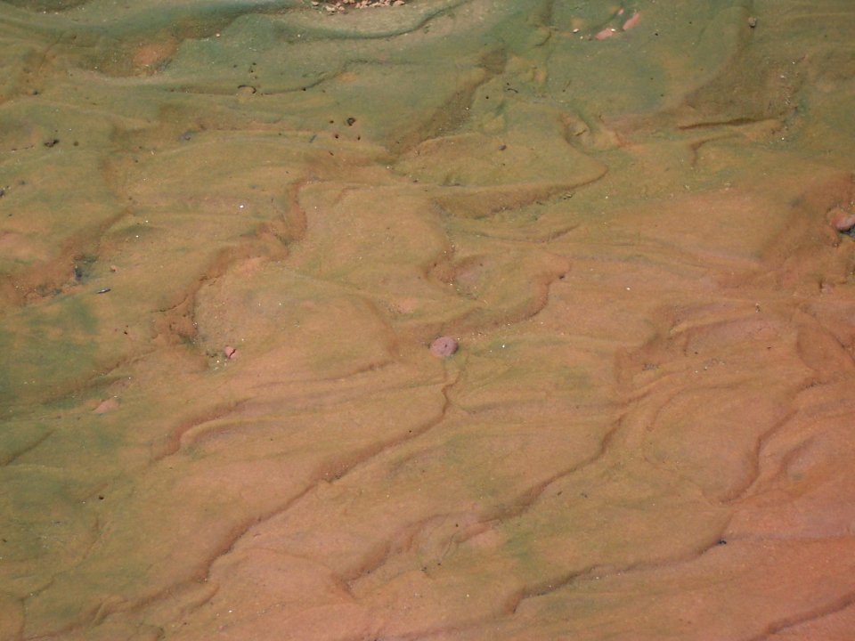 Lake Powell - Davis Gulch 2005