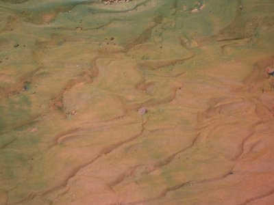 Lake Powell - Davis Gulch 2005
