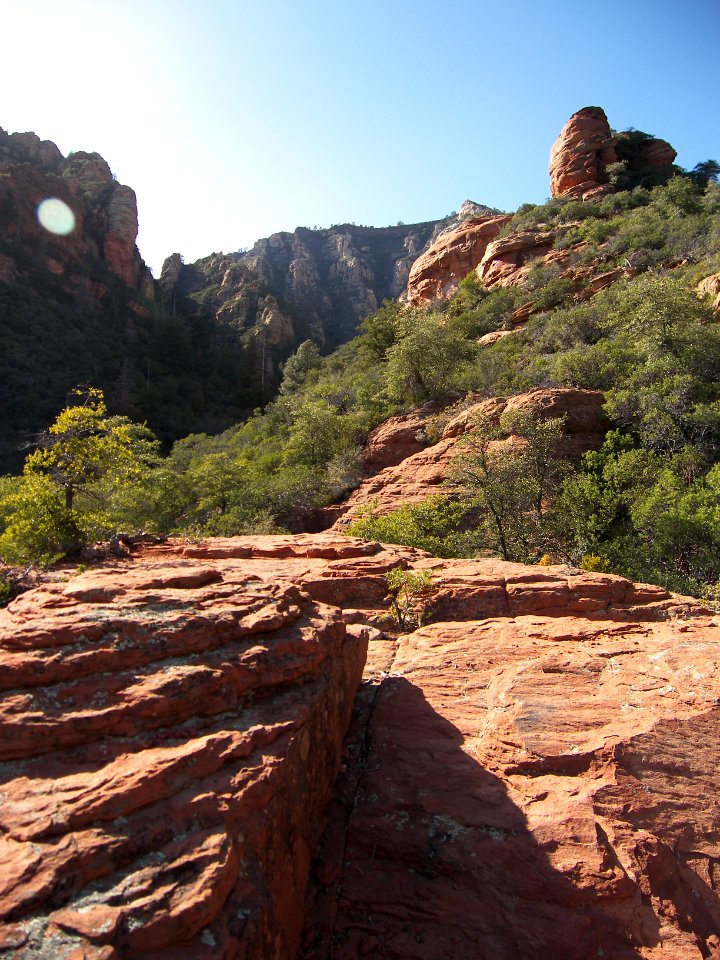 David Miller Trail