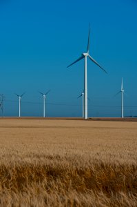 Road Trip: Windmills