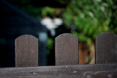 Lens: Stellar 1:2.8/85mm