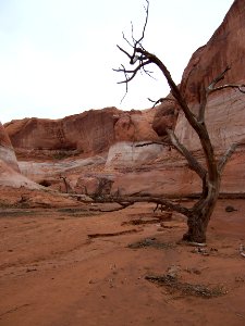 Lake Powell - Davis Gulch 2005