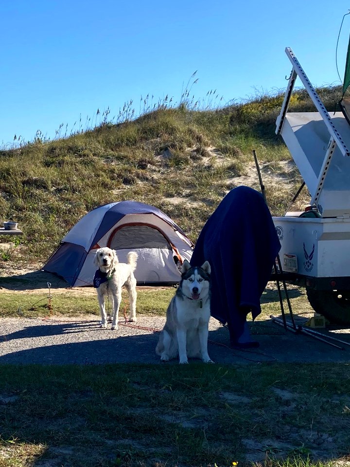 Oregon Inlet Campground 4 legged campers