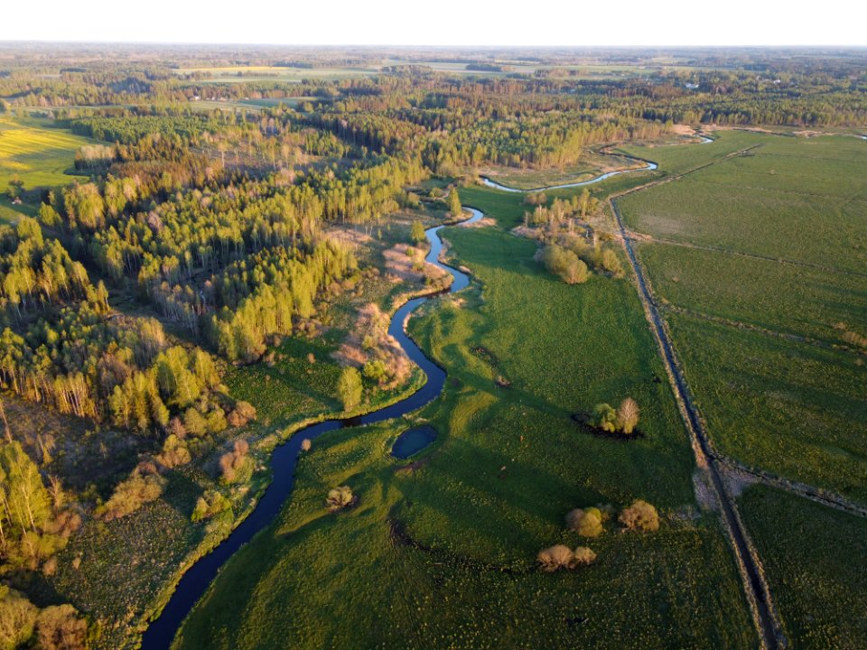 Mustjõgi