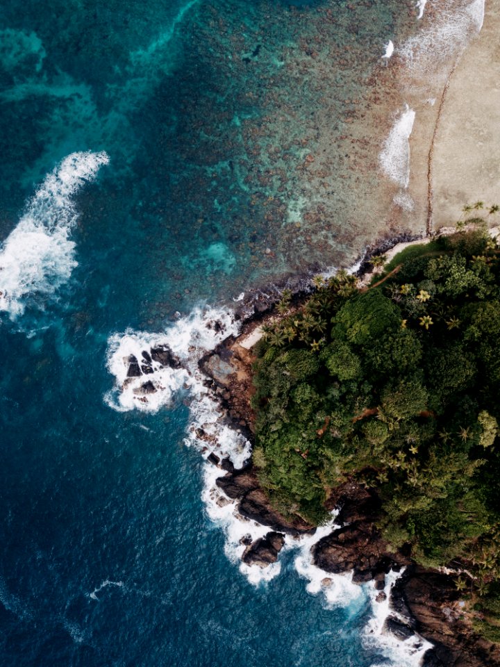 Isla Mamey - Panama
