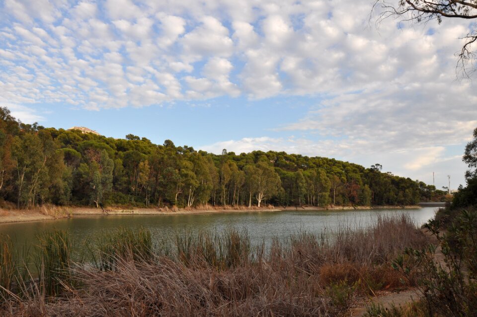 Water forest park