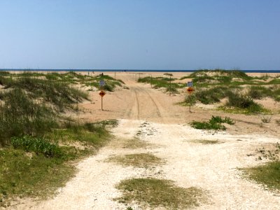 South Beach pedestrian corridor photo