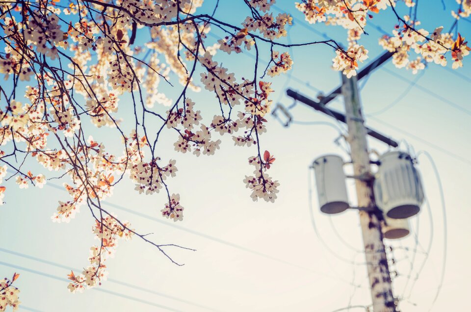 Electricity infrastructure autumn