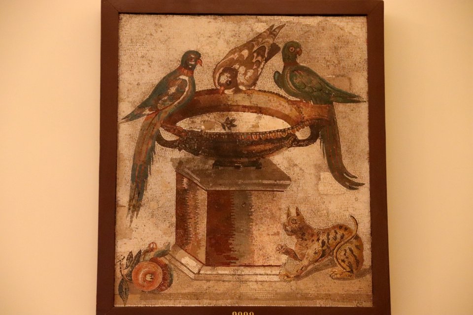 Roman Mosaic: Parrots drinking at the fountain, from Capua Vetere