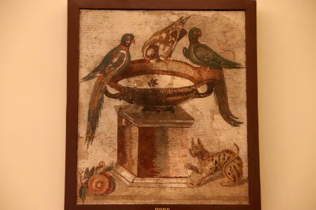 Roman Mosaic: Parrots drinking at the fountain, from Capua Vetere