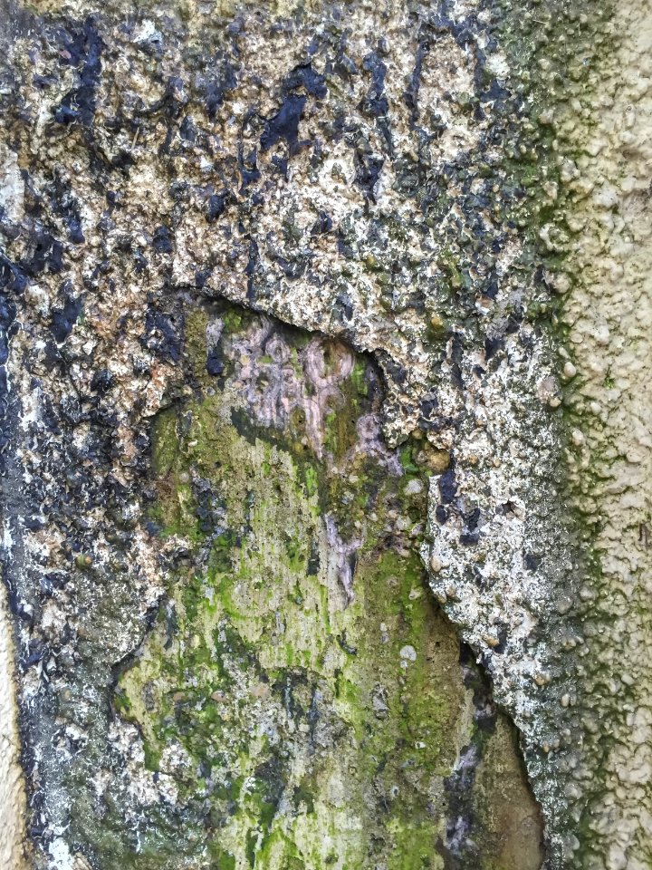 Very dirty plastered wall