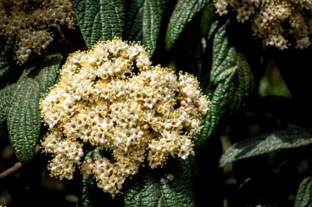 21042019-IMGP4146