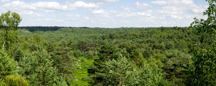 Fontainebleau - 2018/06/16