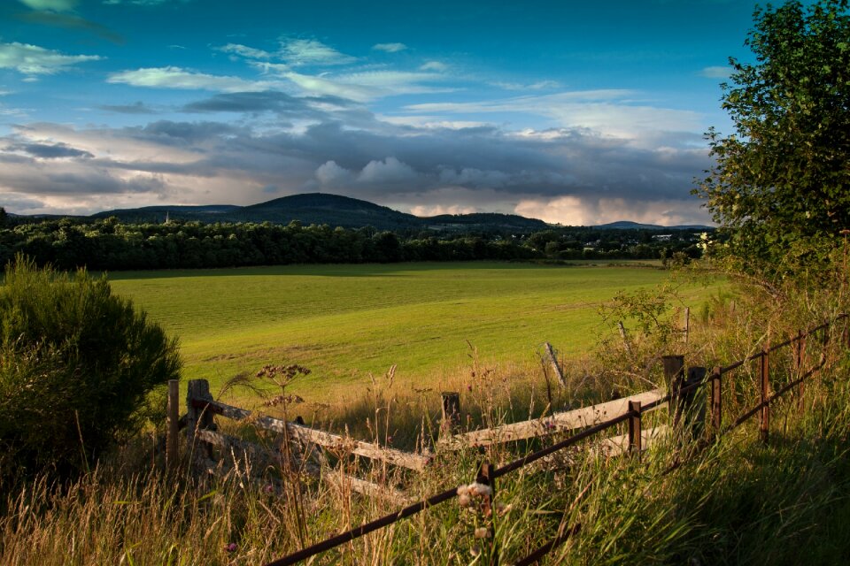 Grass green summer