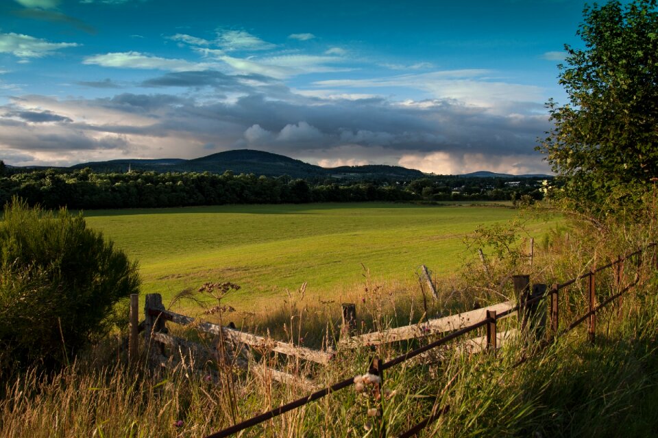 Grass green summer photo