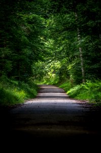 Fontainebleau - 2018/06/16